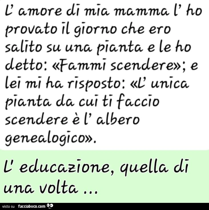 L'amore di mia mamma l'ho provato il giorno che ero salito su una pianta e le ho detto: fammi scendere