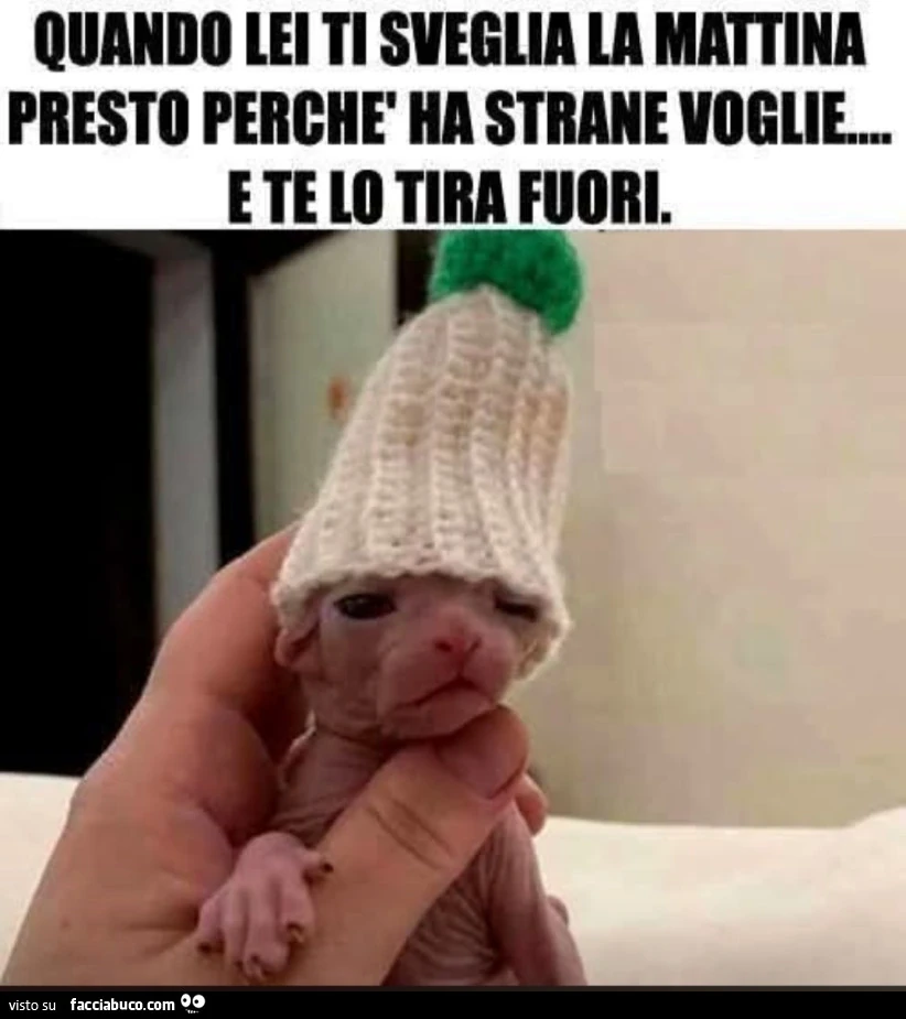 Quando lei ti sveglia la mattina presto perche ha strane voglie
