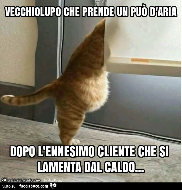Vecchiolupo che prende un può d'aria dopo l'ennesimo cliente che si lamenta dal caldo