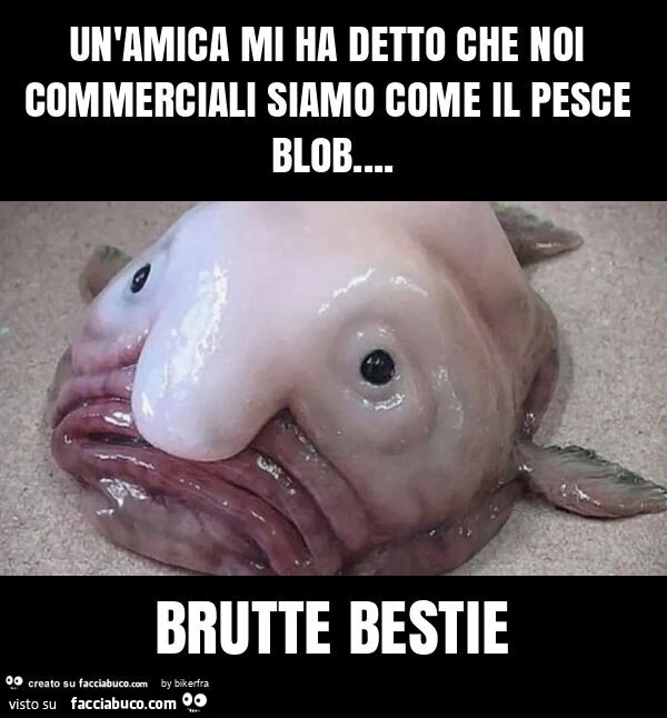 Un'amica mi ha detto che noi commerciali siamo come il pesce blob&hellip; brutte bestie