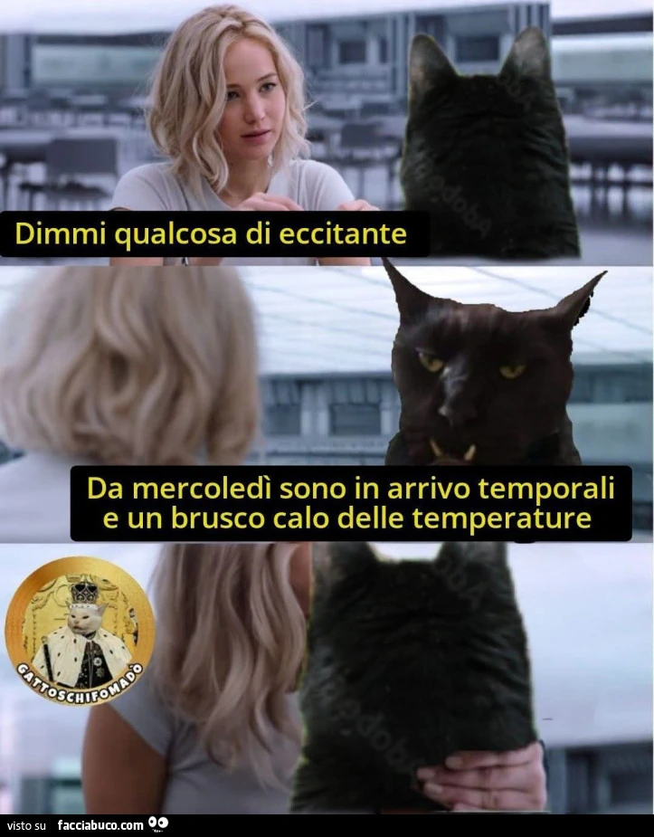 Vaccata