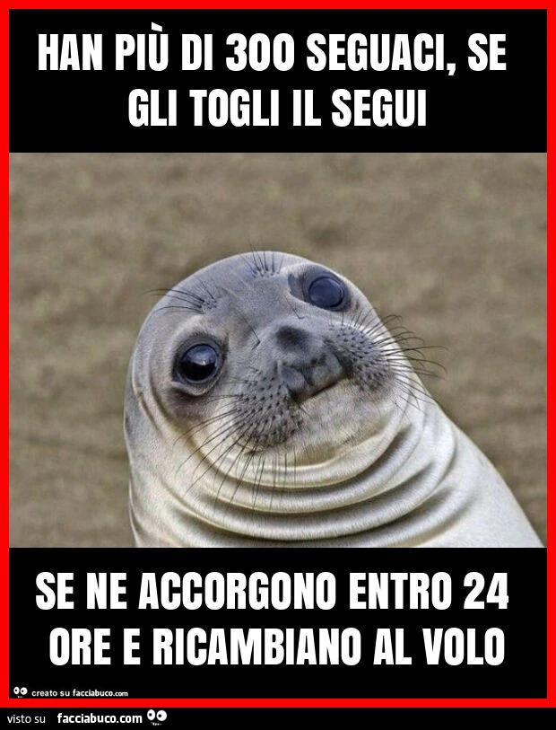 Han più di 300 seguaci, se gli togli il segui se ne accorgono entro 24 ore e ricambiano al volo