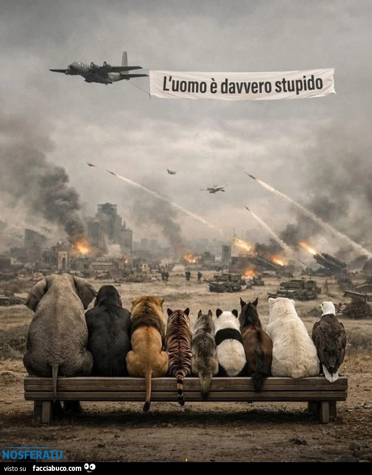 L'uomo รจ davvero stupido