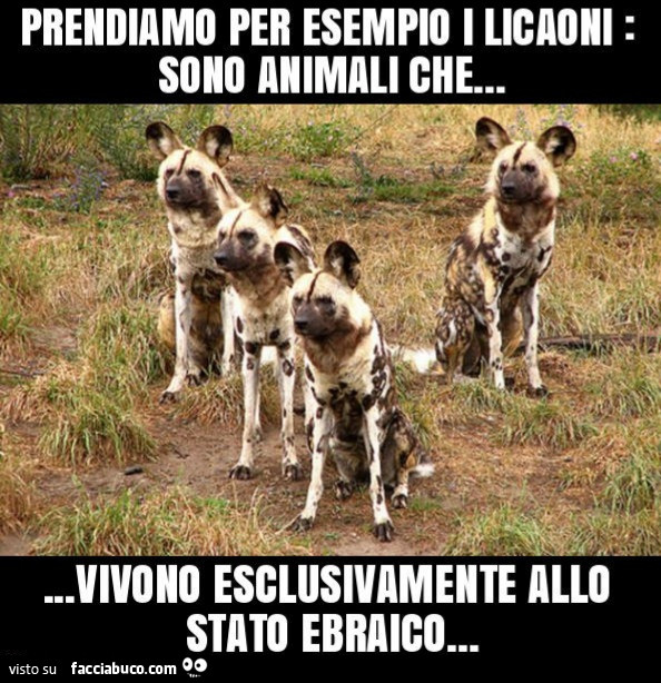 Stato ebraico