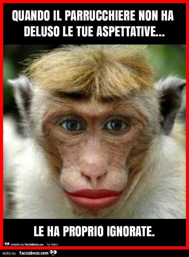 Quando il parrucchiere non ha deluso le tue aspettative&hellip; le ha proprio ignorate