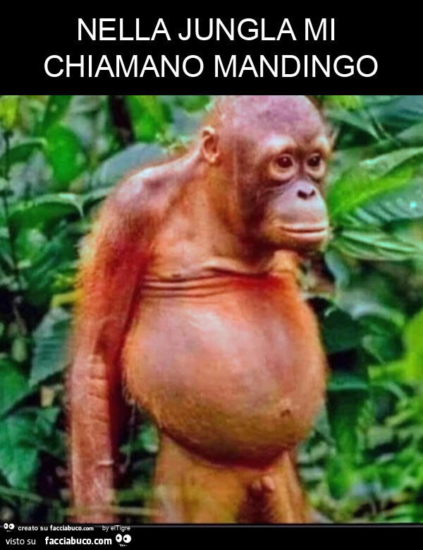 Nella jungla mi chiamano mandingo