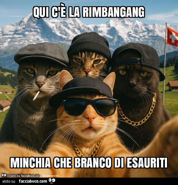 Qui c'è la rimbangang minchia che branco di esauriti