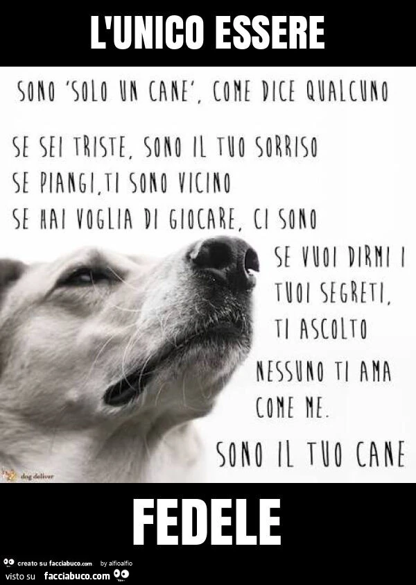 L'unico essere fedele