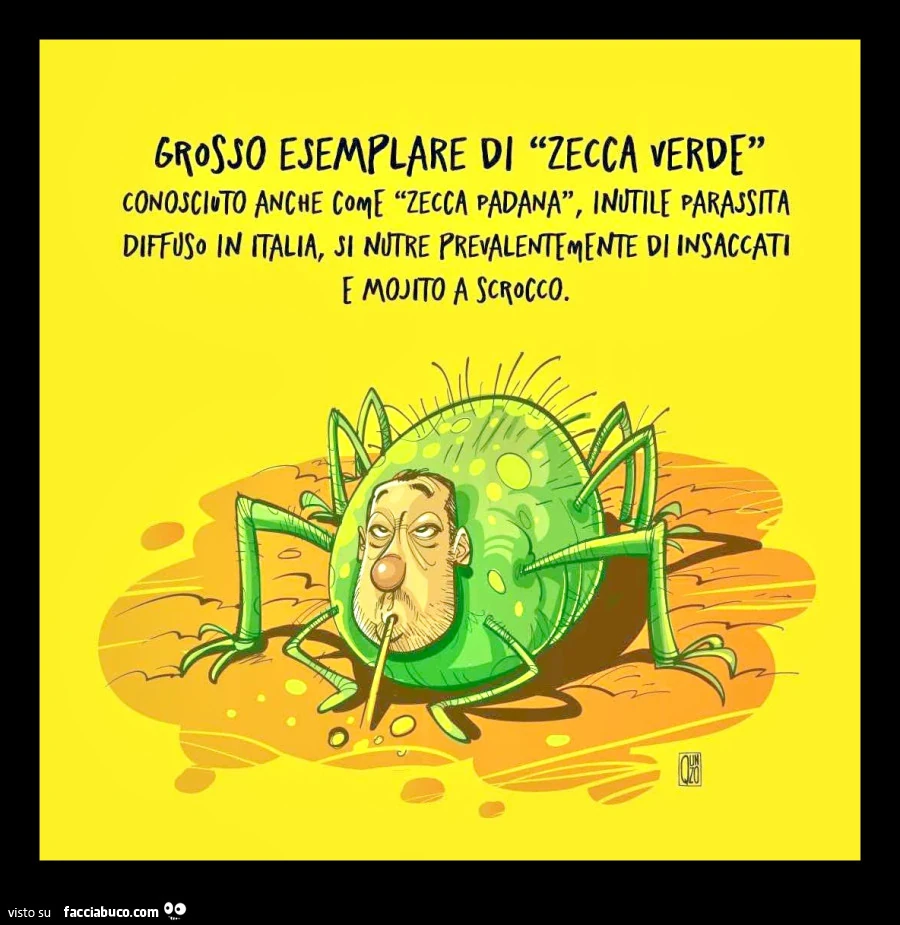 Vaccata