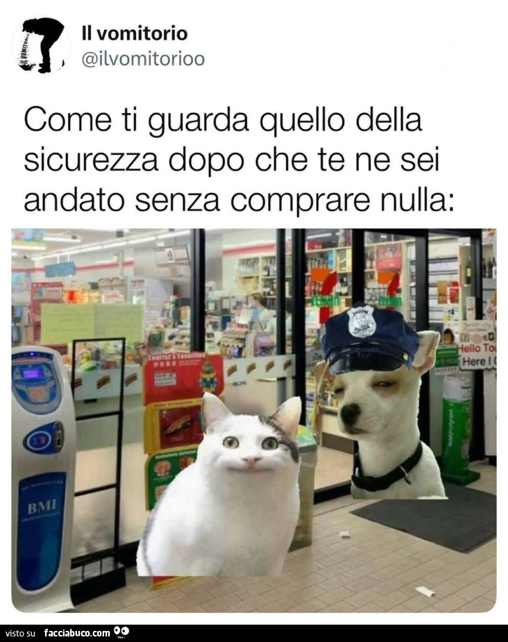 Vaccata