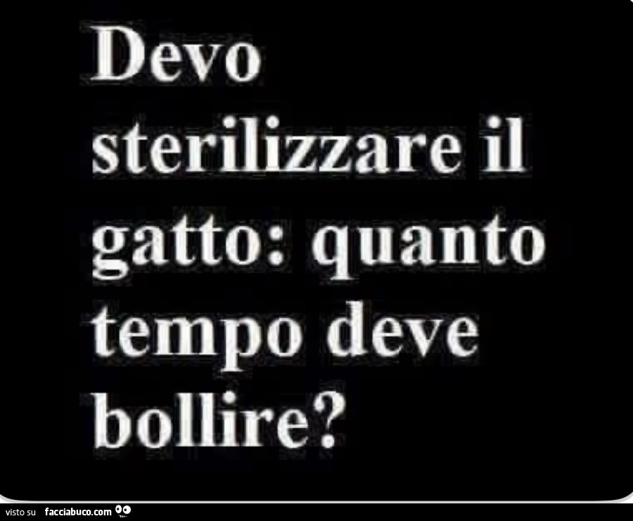 Devo sterilizzare il gatto: quanto tempo deve bollire?