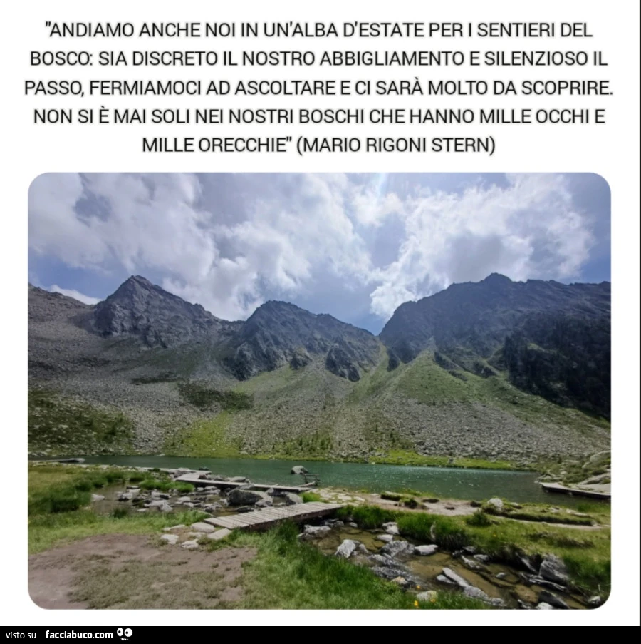 Andiamo anche noi in un'alba d'estate per i sentieri del bosco: sia discreto il nostro abbigliamento e silenzioso il passo, Fermiamoci ad ascoltare e ci sarà molto da scoprire. Non si è mai soli nei nostri boschi che hanno mille occhi e mille or
