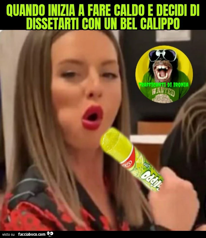 Quando inizia a fare caldo e decidi di dissetarti con un bel calippo