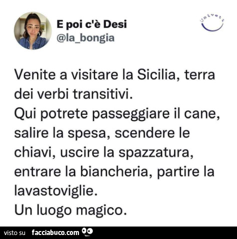 Venite a visitare la sicilia, terra dei verbi transitivi. Qui potrete passeggiare il cane, salire la spesa, scendere le chiavi, uscire la spazzatura, entrare la biancheria, partire la lavastoviglie. Un luogo magico