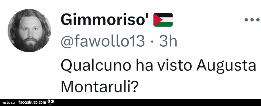 Qualcuno ha visto augusta montaruli?