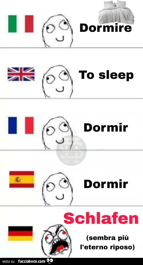 Dormire. To sleep. Dormir. Dormir. Schlafen