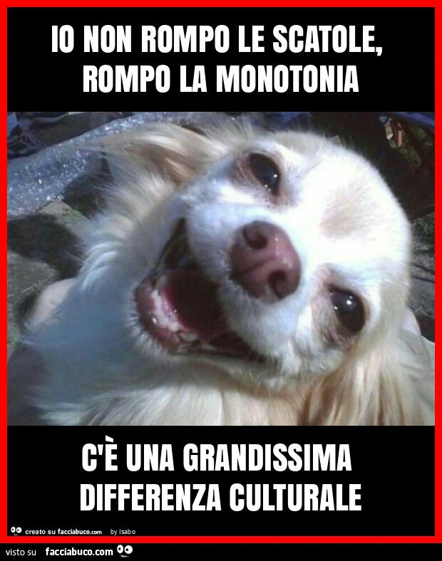 Io non rompo le scatole, rompo la monotonia c'รจ una grandissima differenza culturale