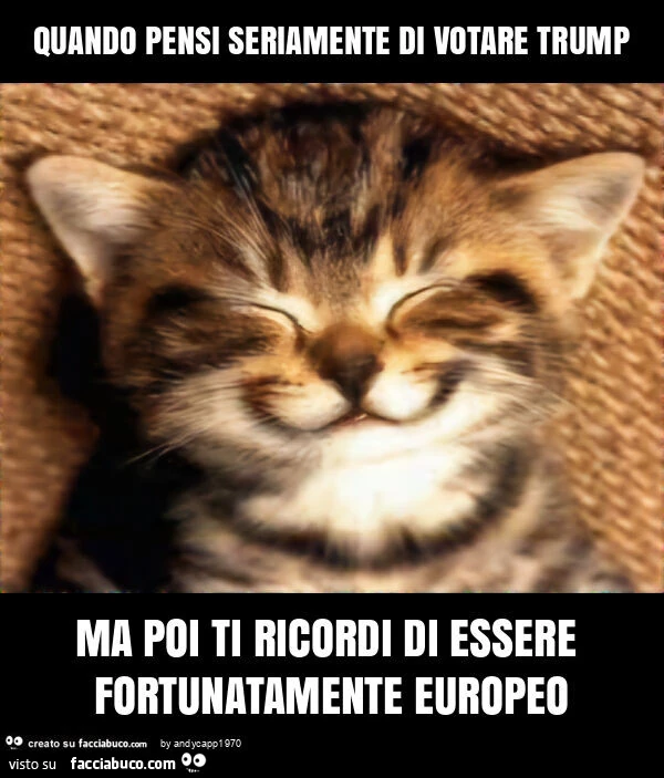 Quando pensi seriamente di votare trump ma poi ti ricordi di essere fortunatamente europeo