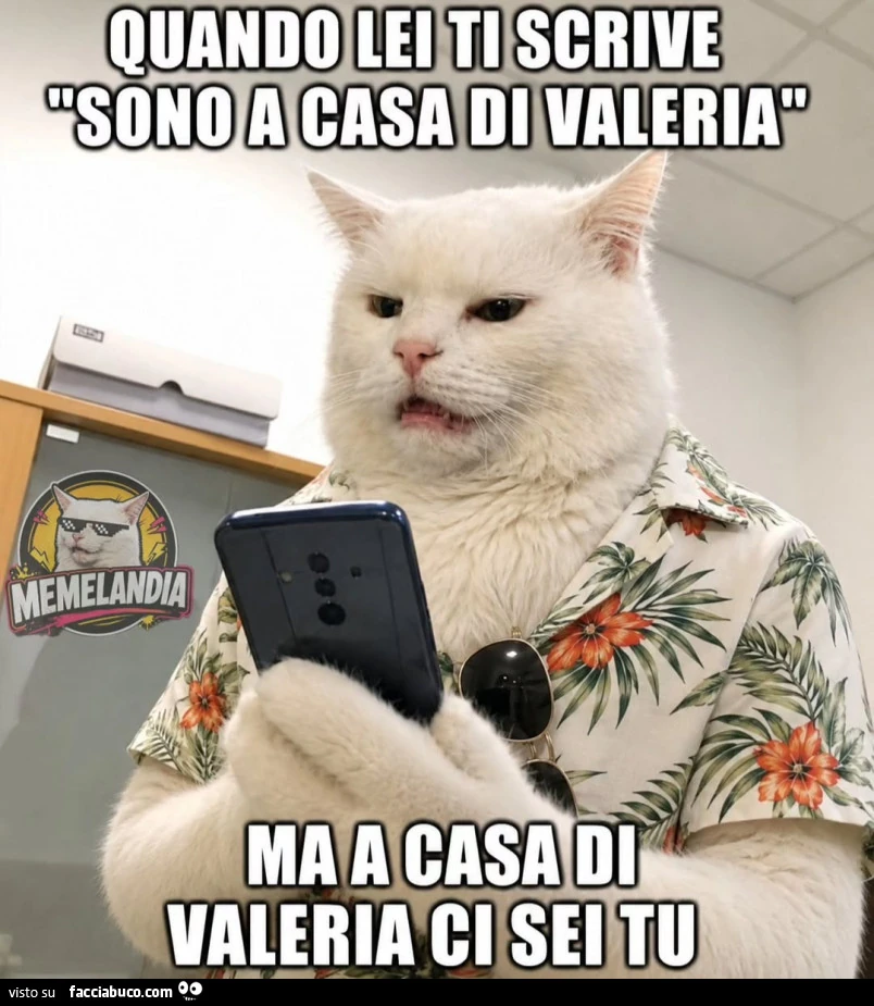 Vaccata