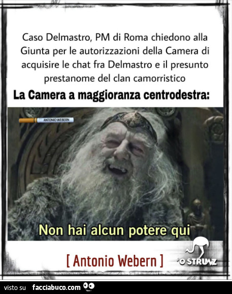 Vaccata