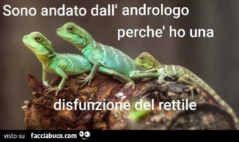 Disfunzione