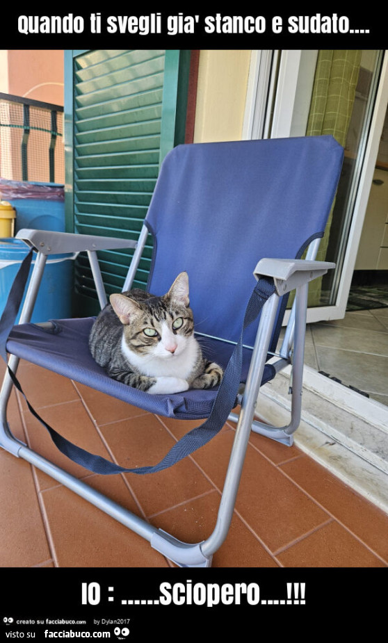 Quando ti svegli già stanco e sudato&hellip; io: &hellip; sciopero