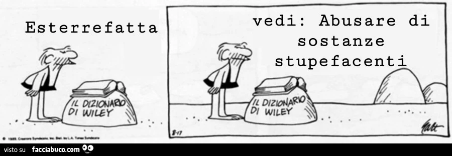 Esterrefatta vedi: abusare di sostanze stupefacenti