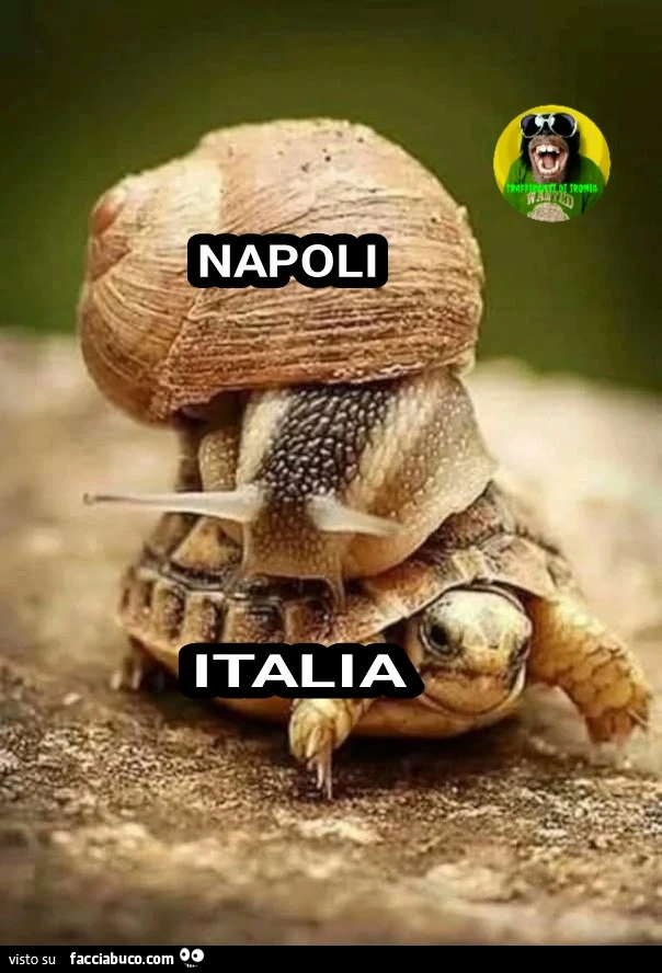Napoli Italia