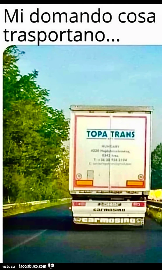 Trasporti