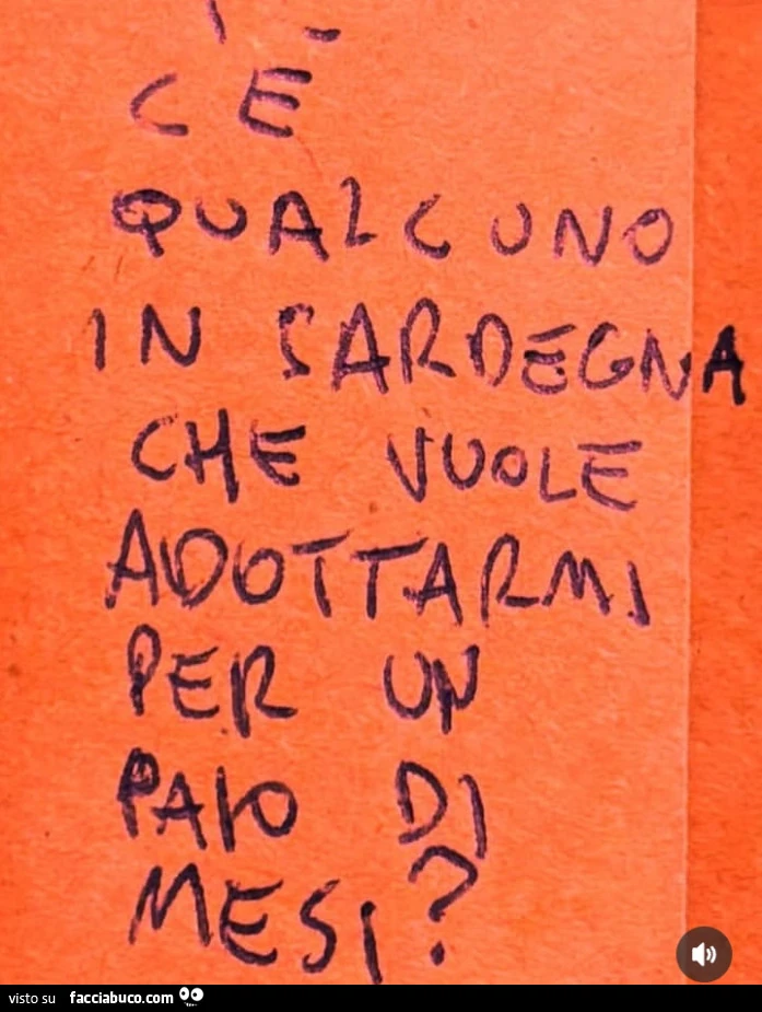 C'è qualcuno in sardegna che vuole adottarmi per un paio di mesi?