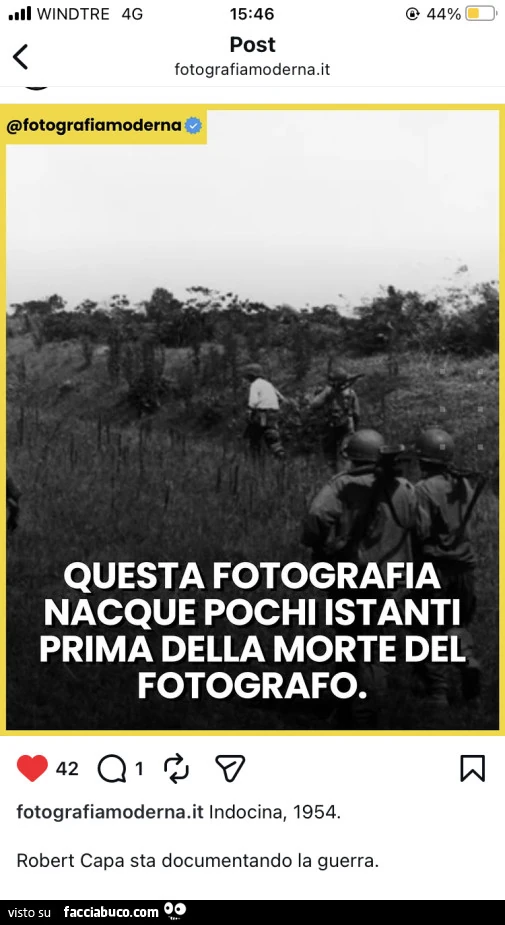 Vaccata