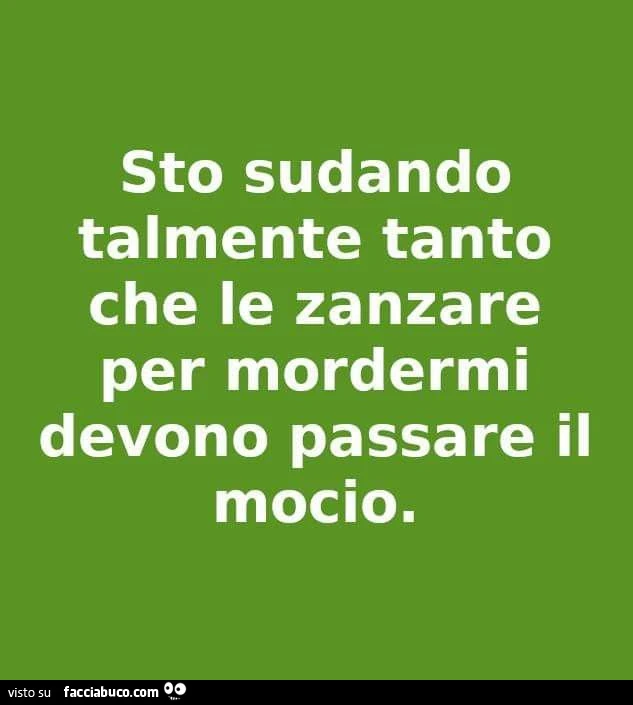 Sto sudando talmente tanto che le zanzare per mordermi devono passare il mocio
