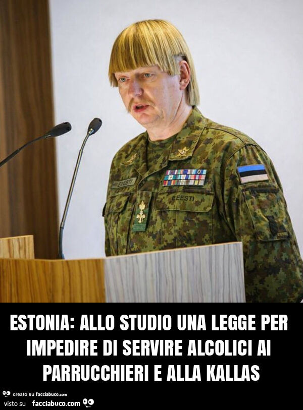 Estonia: allo studio una legge per impedire di servire alcolici ai parrucchieri e alla kallas