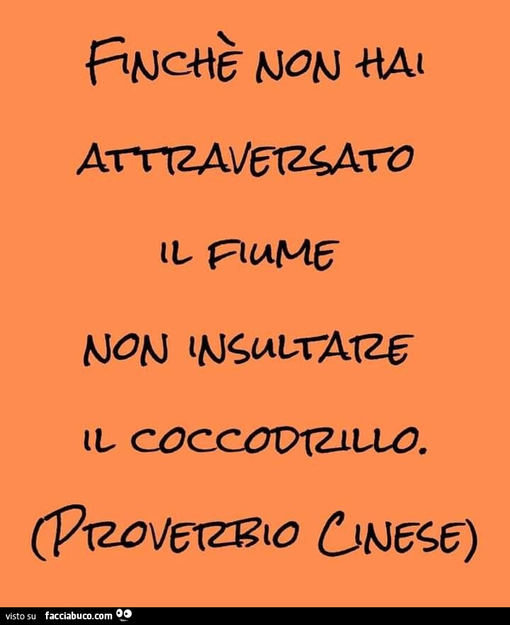 Finchè non hai attraversato il fiume non insultare il coccodrillo