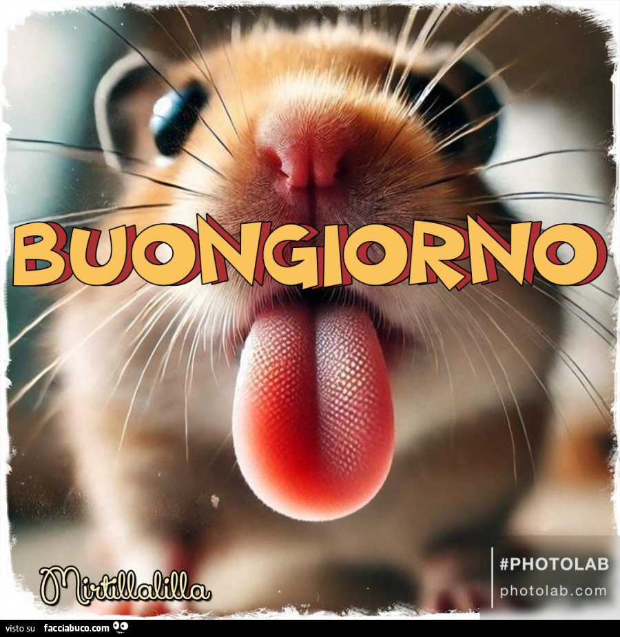Buongiorno