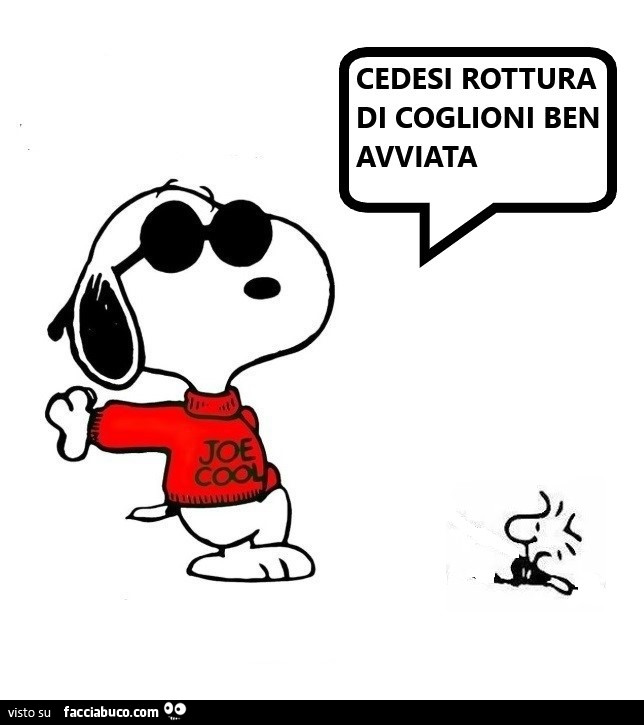 Cedesi rottura di coglioni ben avviata