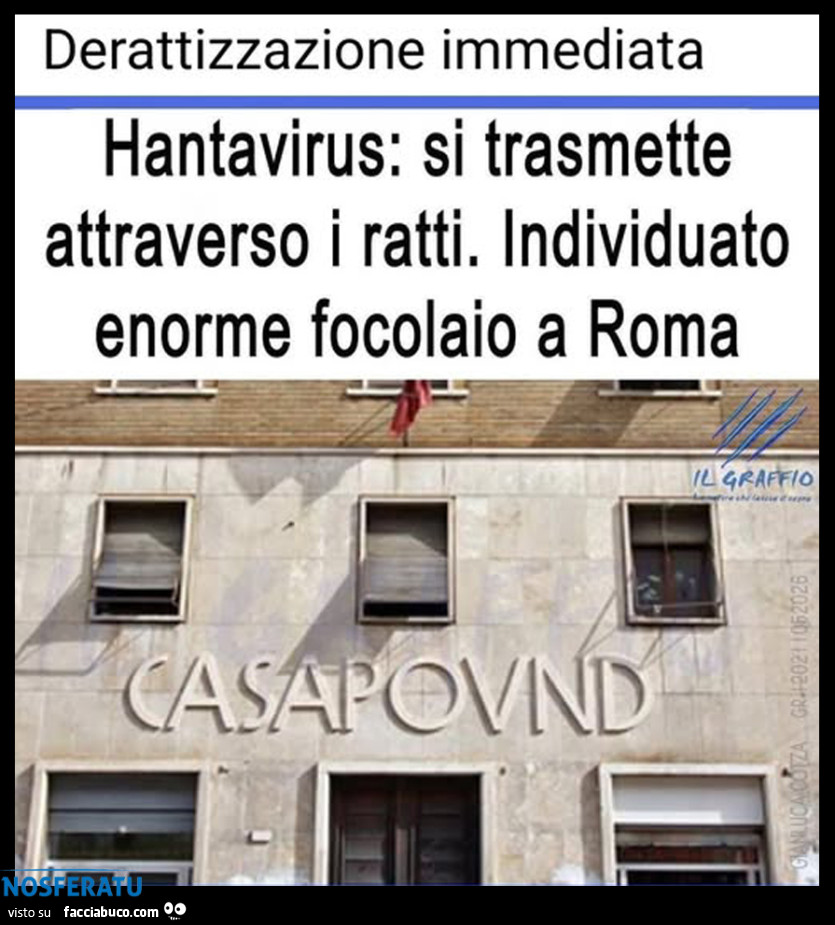 Individuato enorme focolaio di ratti a Roma
