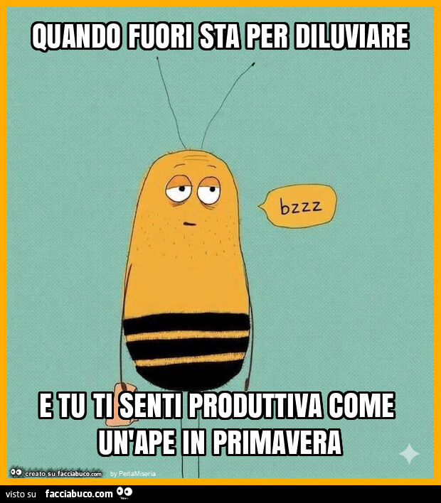 Quando fuori sta per diluviare e tu ti senti produttiva come un'ape in primavera