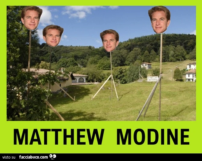 Matthew Modine, modine edilizia