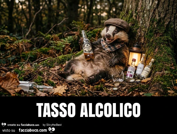 Tasso alcolico