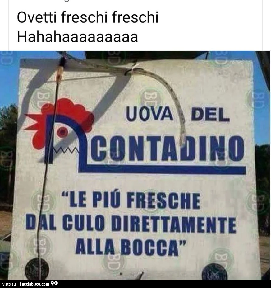 Vaccata