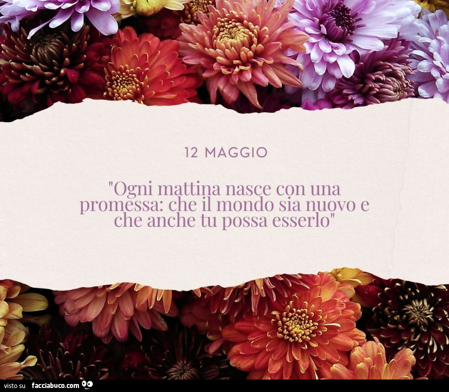 Buon giorno