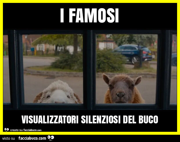 I famosi visualizzatori silenziosi del buco