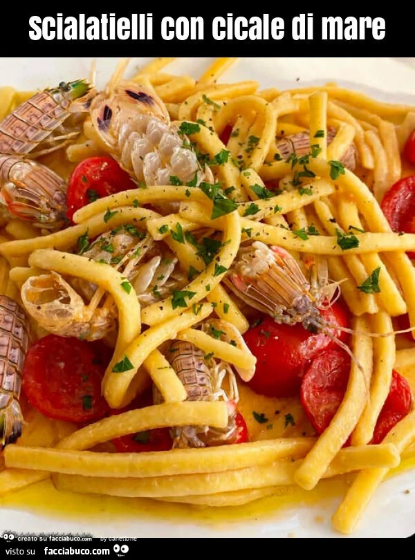 Scialatielli con cicale di mare
