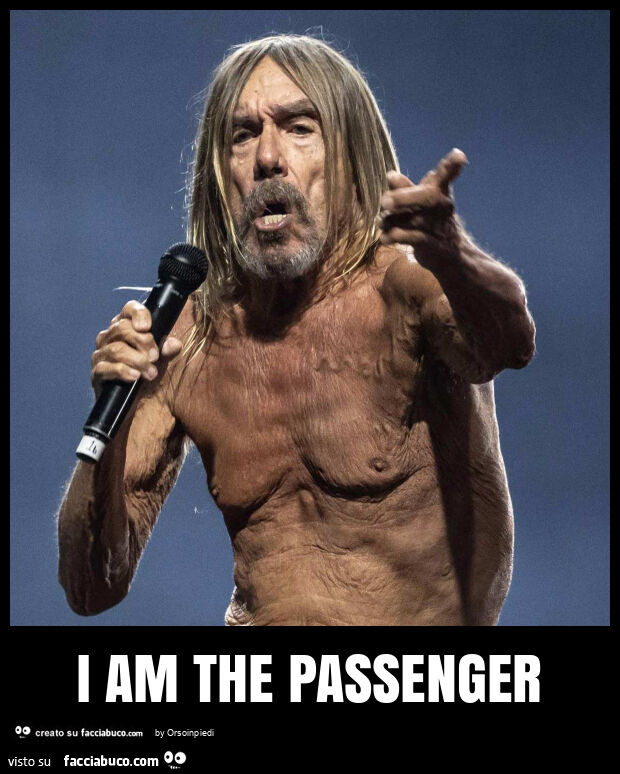 I am the passenger