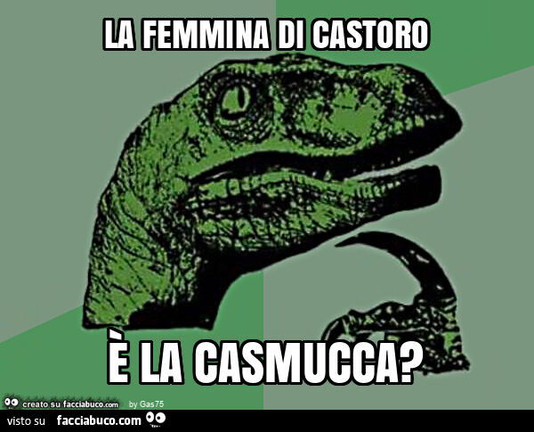 La femmina di castoro è la casmucca?