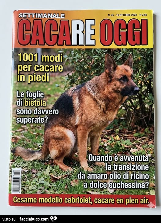 Vaccata