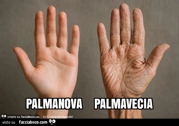 Vaccata