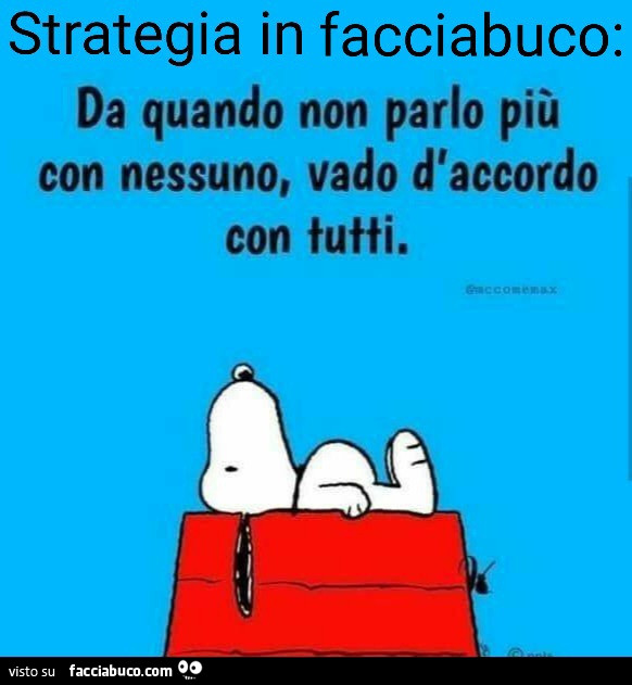 Bracchetto