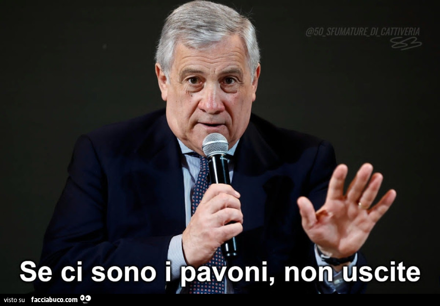 Se ci sono i pavoni non uscite